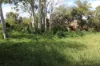 "KENDAH "795 Romers Road, Wowan, Qld 4702-Image