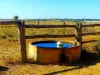 "KENDAH "795 Romers Road, Wowan, Qld 4702-Image