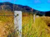 "KENDAH "795 Romers Road, Wowan, Qld 4702-Image