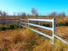 "KENDAH "795 Romers Road, Wowan, Qld 4702-Image