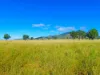 "KENDAH "795 Romers Road, Wowan, Qld 4702-Image