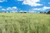 " Kooringa ", Roma, Qld 4455-Image