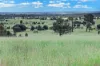 " Kooringa ", Roma, Qld 4455-Image