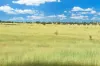 " Kooringa ", Roma, Qld 4455-Image