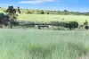" Kooringa ", Roma, Qld 4455-Image