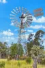 " Kooringa ", Roma, Qld 4455-Image