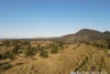 L19 Bunburra Road, Cannon Creek, Qld 4310-Image