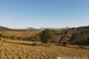 L19 Bunburra Road, Cannon Creek, Qld 4310-Image