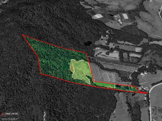L2 Dingo Pocket Road, Dingo Pocket, Qld 4854
