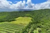 L2 Dingo Pocket Road, Dingo Pocket, Qld 4854-Image