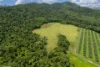 L2 Dingo Pocket Road, Dingo Pocket, Qld 4854-Image