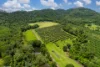 L2 Dingo Pocket Road, Dingo Pocket, Qld 4854-Image