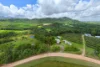 L2 Dingo Pocket Road, Dingo Pocket, Qld 4854-Image