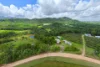 L2 Dingo Pocket Road, Dingo Pocket, Qld 4854-Image