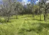 L52 Campbell Creek Road, Campbell Creek, Gayndah QLD 4625-Image