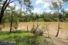 "Lake Nash", Codenwarra Road, Emerald, Qld 4720
