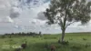 "Lake Nash", Codenwarra Road, Emerald, Qld 4720-Image