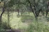 "Lake Nash", Codenwarra Road, Emerald, Qld 4720-Image