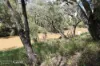 "Lake Nash", Codenwarra Road, Emerald, Qld 4720-Image