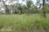 "Lake Nash", Codenwarra Road, Emerald, Qld 4720-Image