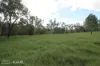 "Lake Nash", Codenwarra Road, Emerald, Qld 4720-Image
