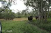 "Lake Nash", Codenwarra Road, Emerald, Qld 4720-Image