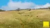 . Lamont Drive, Toora, Vic 3962-Image