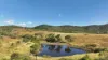 'Leila Park' A Pierce Road, Morinish QLD 4702-Image
