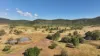 'Leila Park' A Pierce Road, Morinish QLD 4702-Image