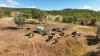 'Leila Park' A Pierce Road, Morinish QLD 4702-Image