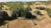 'Leila Park' A Pierce Road, Morinish QLD 4702-Image