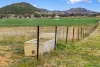 "Lone Star", 808 Namoi River Road, Manilla, NSW 2346-Image