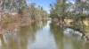 "Lone Star", 808 Namoi River Road, Manilla, NSW 2346-Image