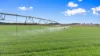 "Lone Star", 808 Namoi River Road, Manilla, NSW 2346-Image