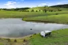 Lot 1 2135 The Bucketts Way, Wards River, NSW 2422-Image