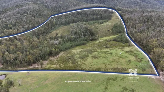 Lot 1/303 Basin Road, Buchan, Vic 3885