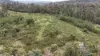 Lot 1/303 Basin Road, Buchan, Vic 3885-Image