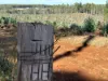 Lot 1 Kim Road (Dingup), Manjimup, WA 6258