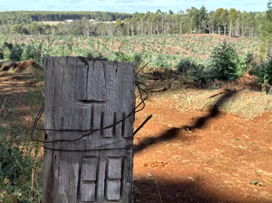 Lot 1 Kim Road (Dingup), Manjimup, WA 6258