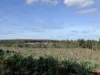 Lot 1 Kim Road (Dingup), Manjimup, WA 6258-Image