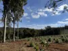 Lot 1 Kim Road (Dingup), Manjimup, WA 6258-Image