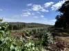 Lot 1 Kim Road (Dingup), Manjimup, WA 6258-Image