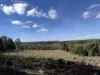 Lot 1 Kim Road (Dingup), Manjimup, WA 6258-Image