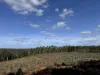 Lot 1 Kim Road (Dingup), Manjimup, WA 6258-Image