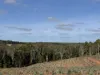 Lot 1 Kim Road (Dingup), Manjimup, WA 6258-Image