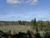 Lot 1 Kim Road (Dingup), Manjimup, WA 6258-Image