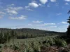 Lot 1 Kim Road (Dingup), Manjimup, WA 6258-Image