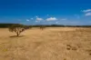 Lot 1 Seaspray Road, Seaspray, Vic 3851-Image