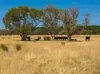 Lot 1 Seaspray Road, Seaspray, Vic 3851-Image