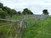 Lot 1/Sec 417 & 429 Furner Road, Millicent, SA 5280-Image